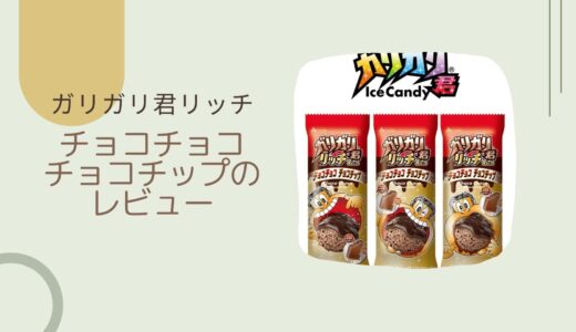 【ガリガリ君】リッチチョコチップどこに売ってる？実際のレビューも！